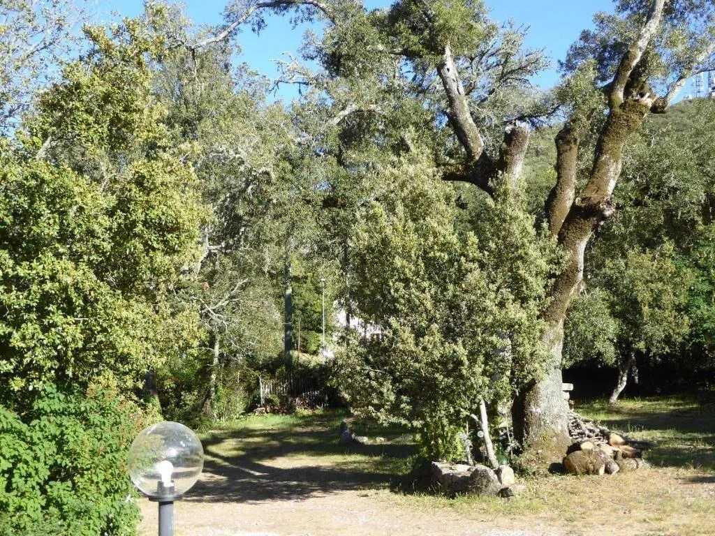 General view, Casa Solotti, Olbia