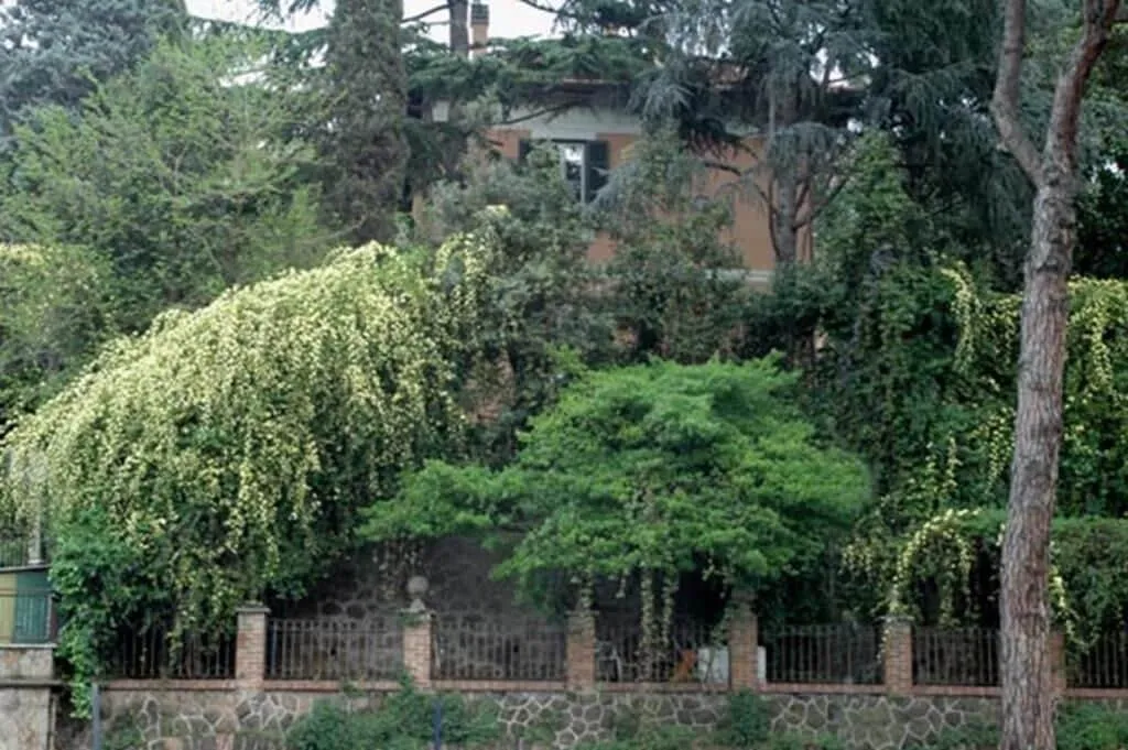 General view, Villino Corbelli, Rome