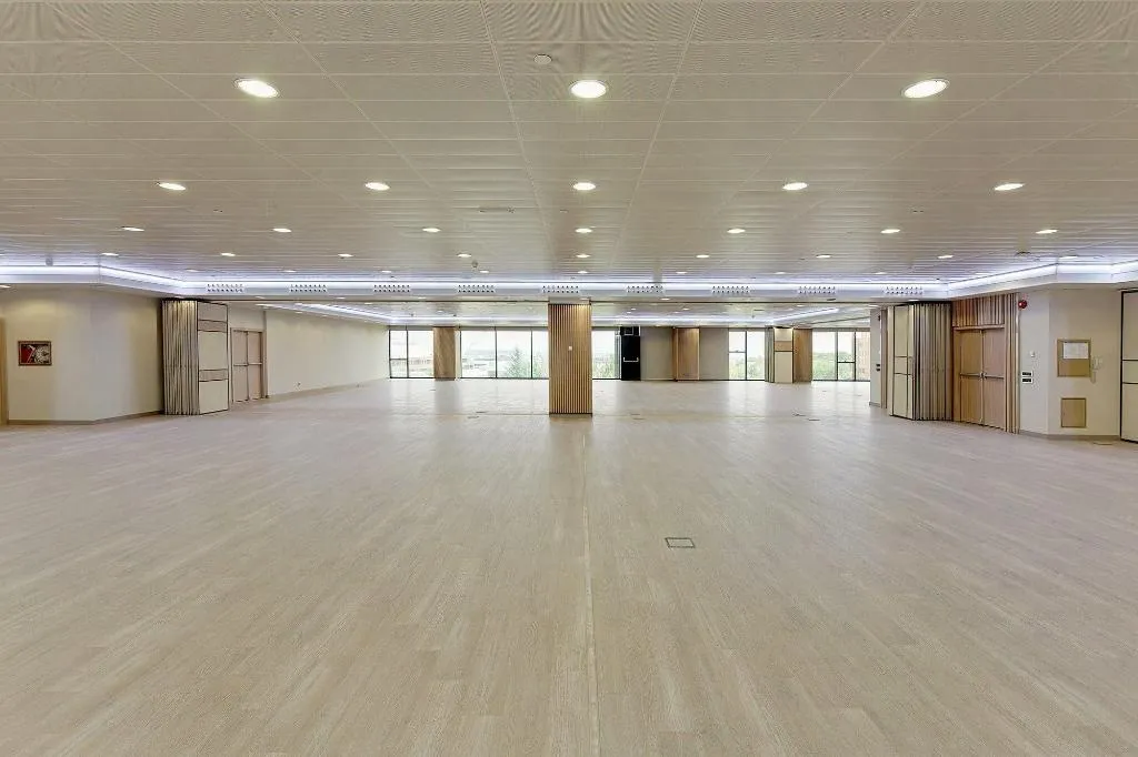 Conferences, Melia Avenida America, Madrid