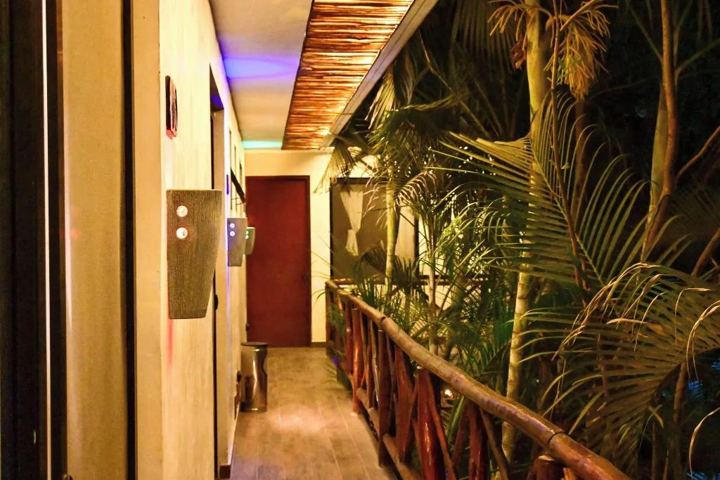 General view, Pacha Tulum Boutique Hotel, Cancun Area