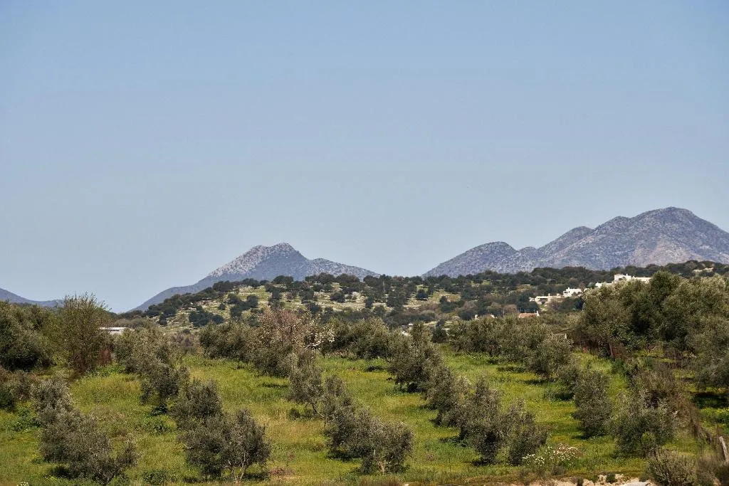 General view, Kapsaliana Village Hotel, Crete