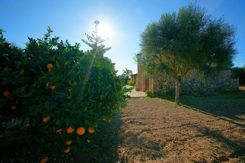 General view, Bou Ros Can Nadal, Majorca