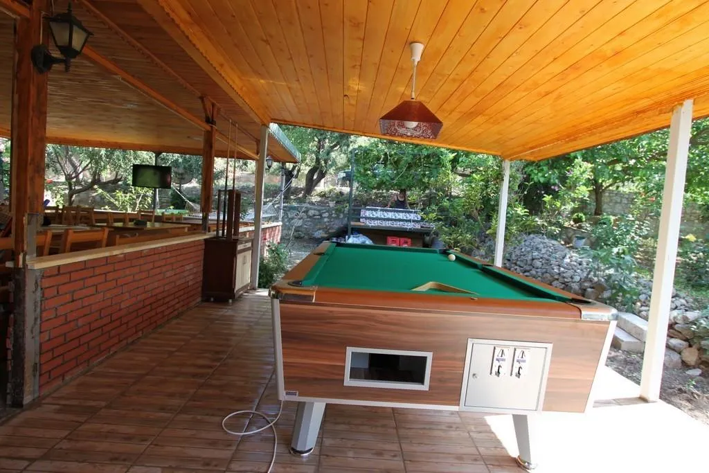 Sports and Entertainment, Elly's Home, Dalaman