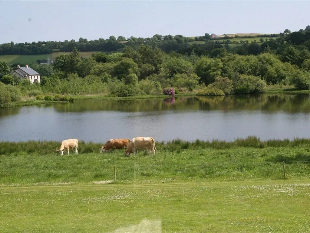 General view, Lake House B&B, Cork