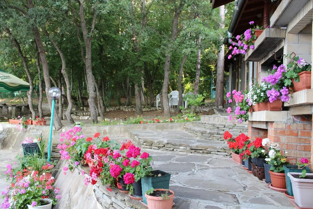 Terrace, Zora, Bourgas