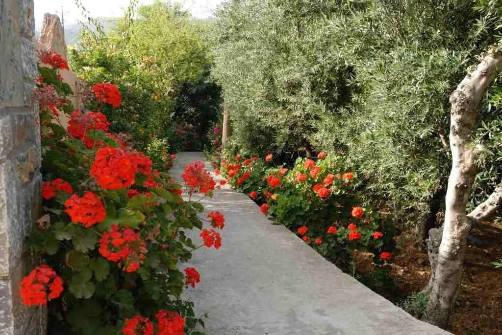 General view, Mirabella Apartments, Crete
