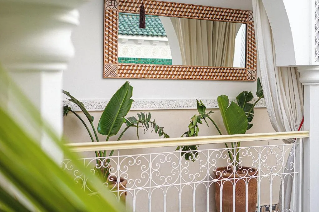 General view, Riad Fleur De Sable, Marrakech