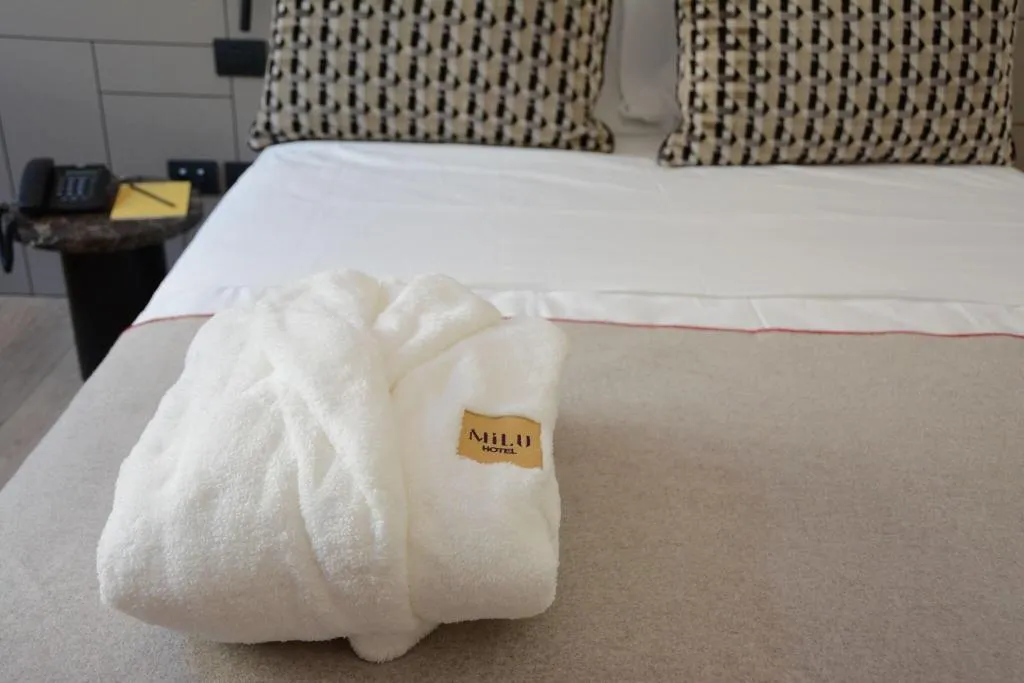 DOUBLE DELUXE WITH BALCONY Room, Milu Firenze, Florence