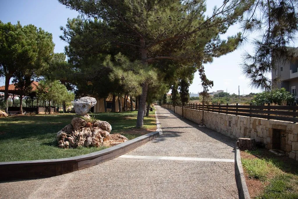 Terrace, Kreta Natur, Crete