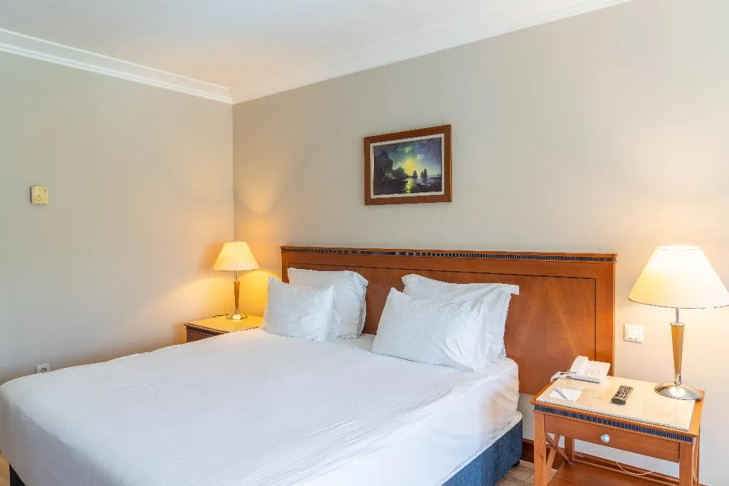 DOUBLE SINGLE USE STANDARD Room, IC Hotels Airport, Antalya