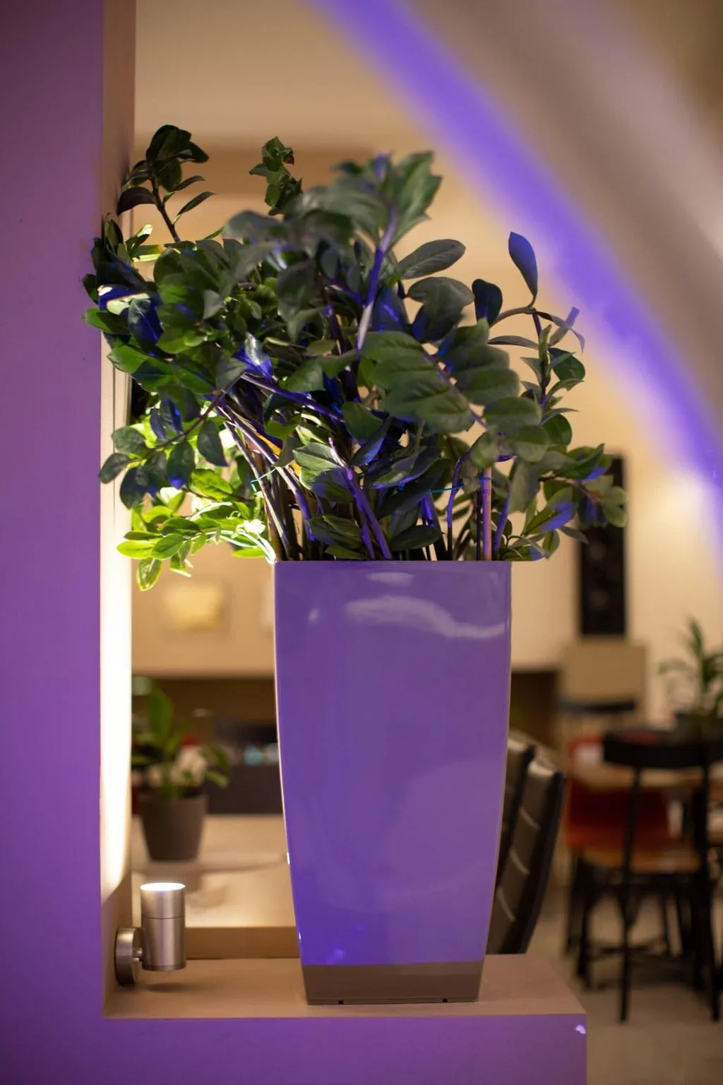 Lobby, Nidimos Hotel, Athens