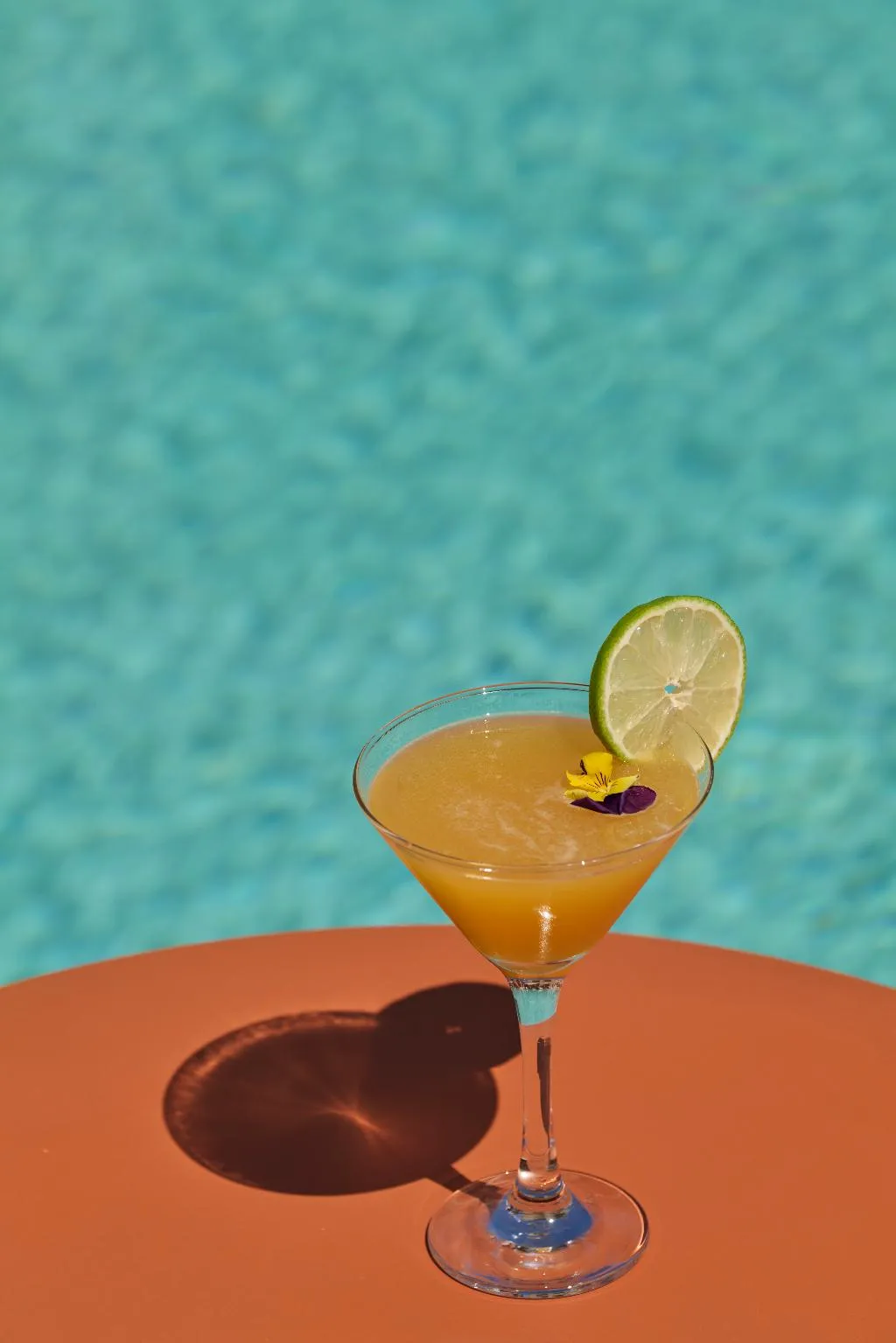 Bar, Lena Mare Boutique Hotel, Corfu