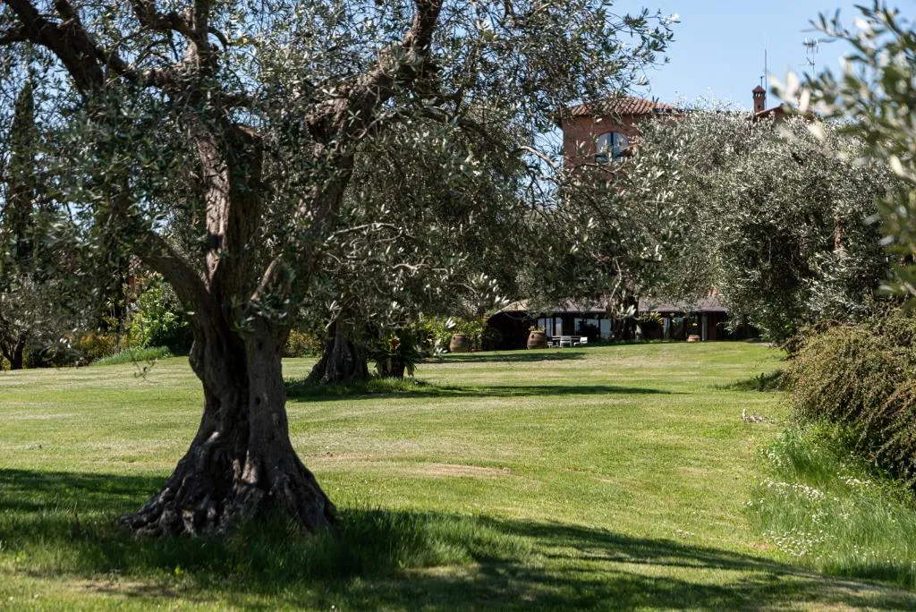 General view, Locanda Poggioleone, Perugia
