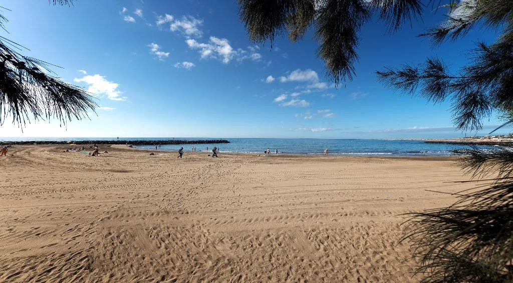 Beach, Apartamentos Olympia, Gran Canaria