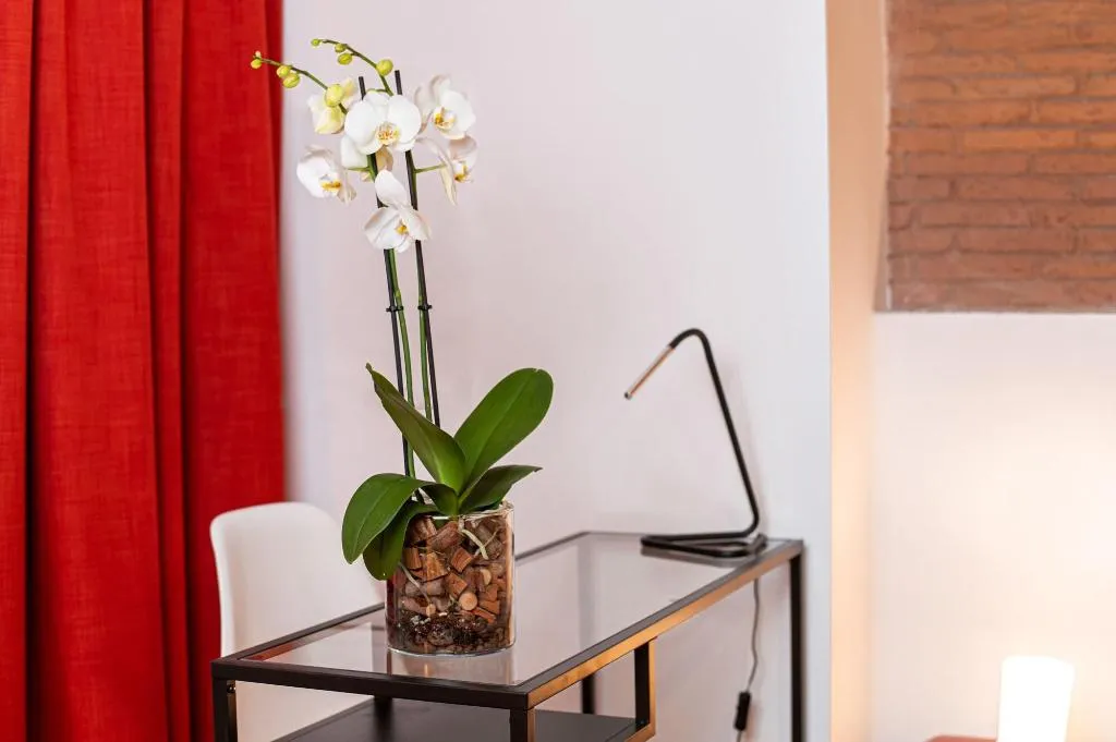 DOUBLE STANDARD Room, Neocore Boutique Hotel, Naples