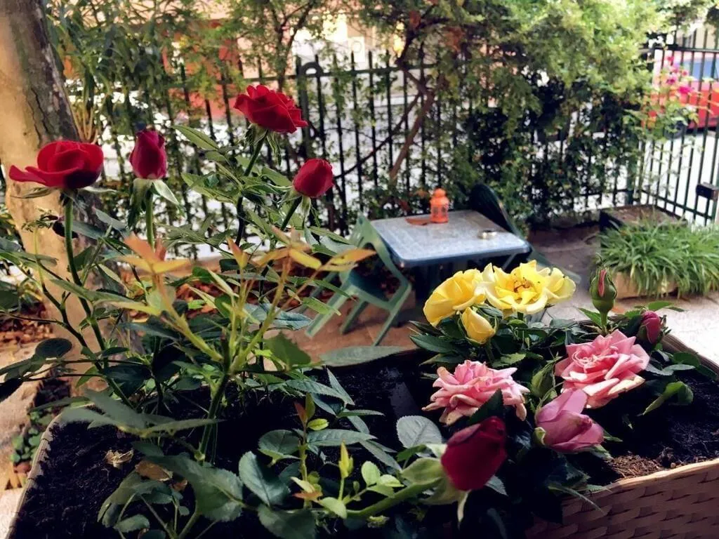 General view, Hotel Brivio, Milan
