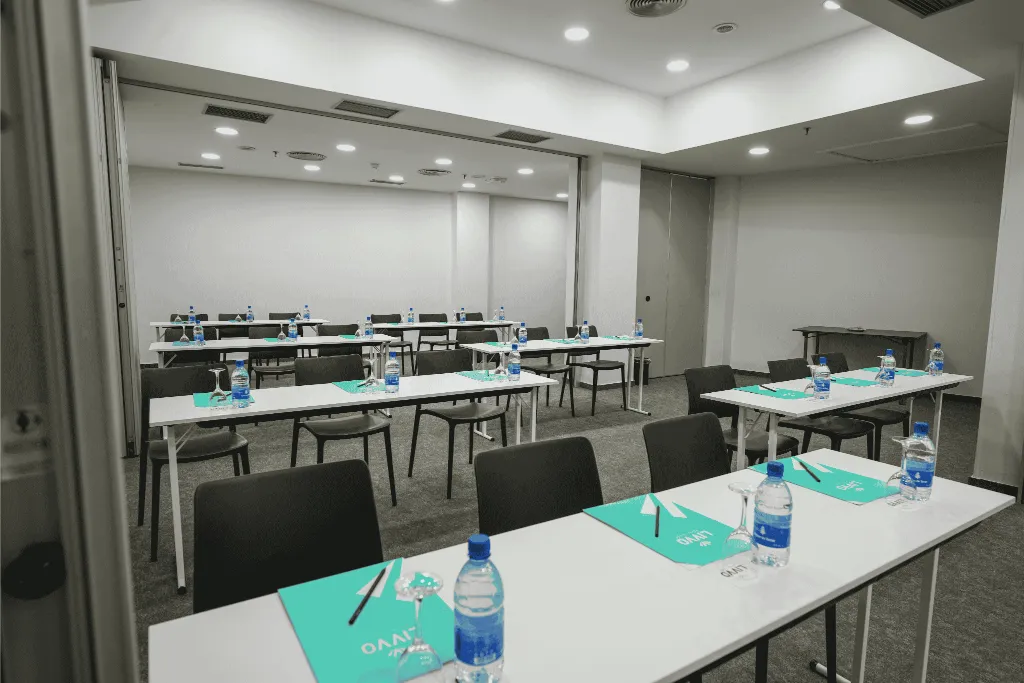 Conferences, Hotel LIVVO Fataga, Gran Canaria