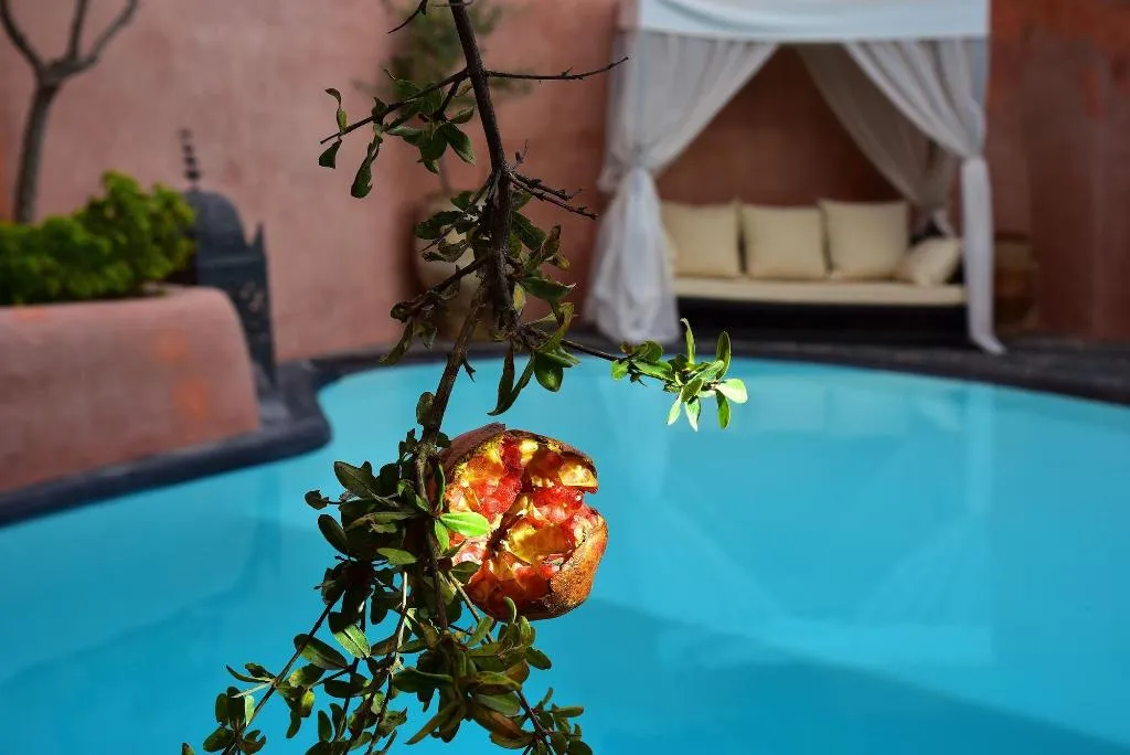 Room, Ducato Wine Village, Santorini