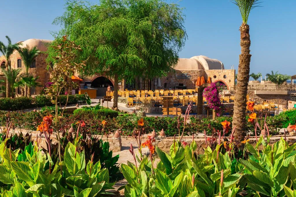 Bar, Utopia Beach Club, Red Sea Riviera