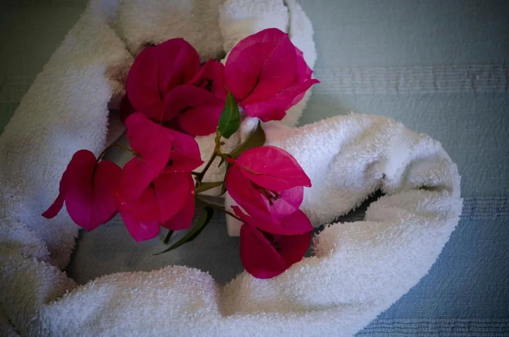 Room, Hotel Angelino, Naples