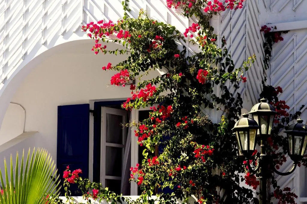 Room, Blacksandy Beach Hotel, Santorini