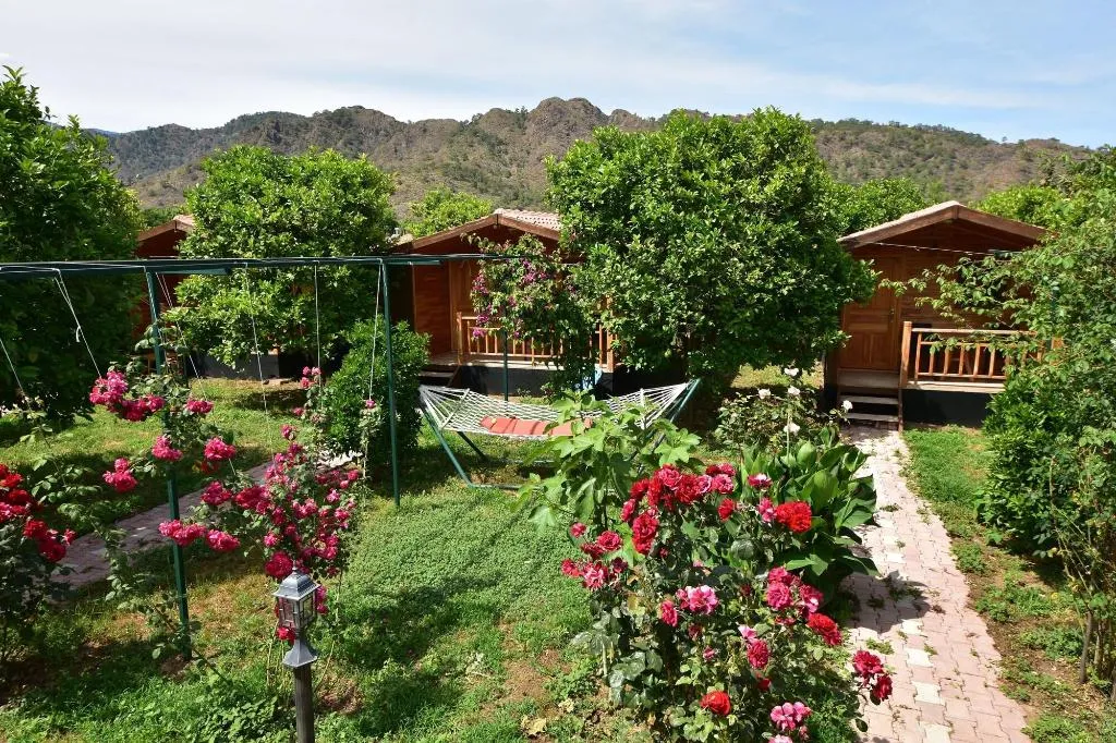 General view, Lemon Garden Lodge, Antalya