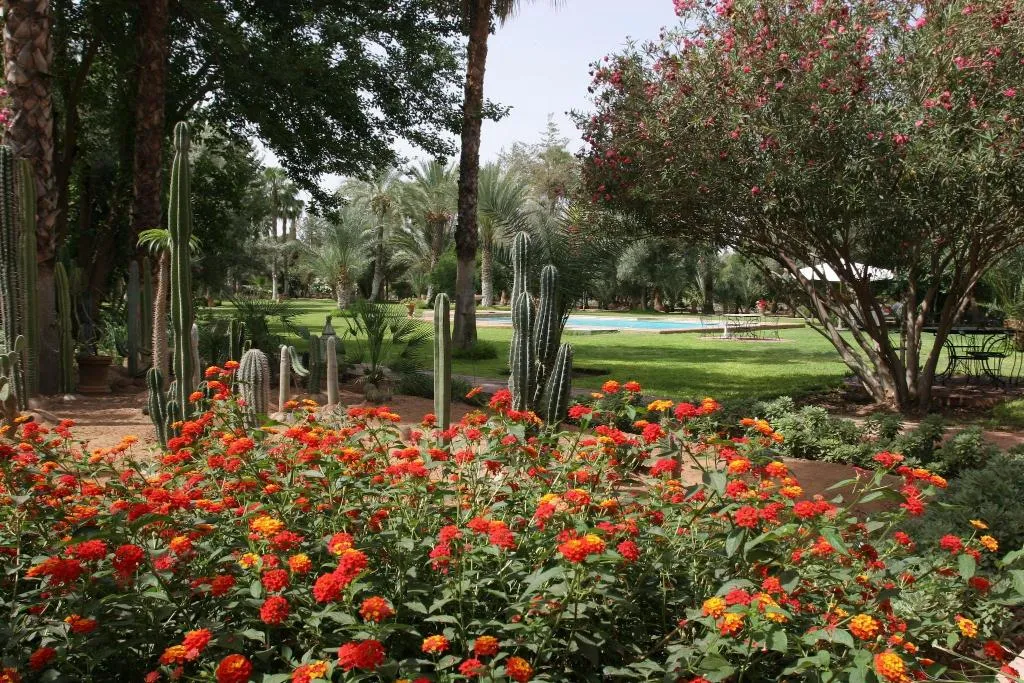 General view, Dar Ayniwen Garden Hotel & Bird Zoo, Marrakech
