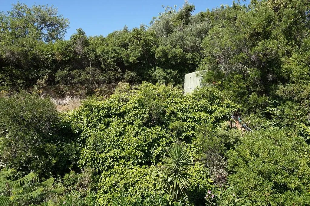 Room, The White House - Boutique Villa, Algarve