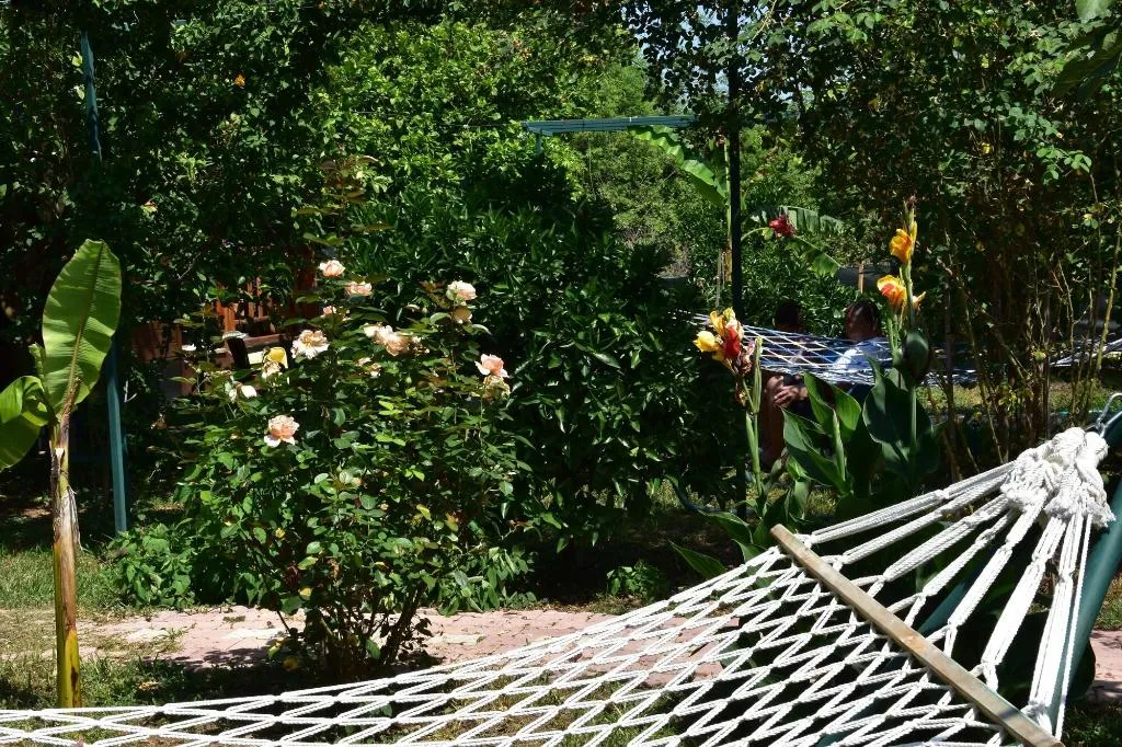 General view, Lemon Garden Lodge, Antalya