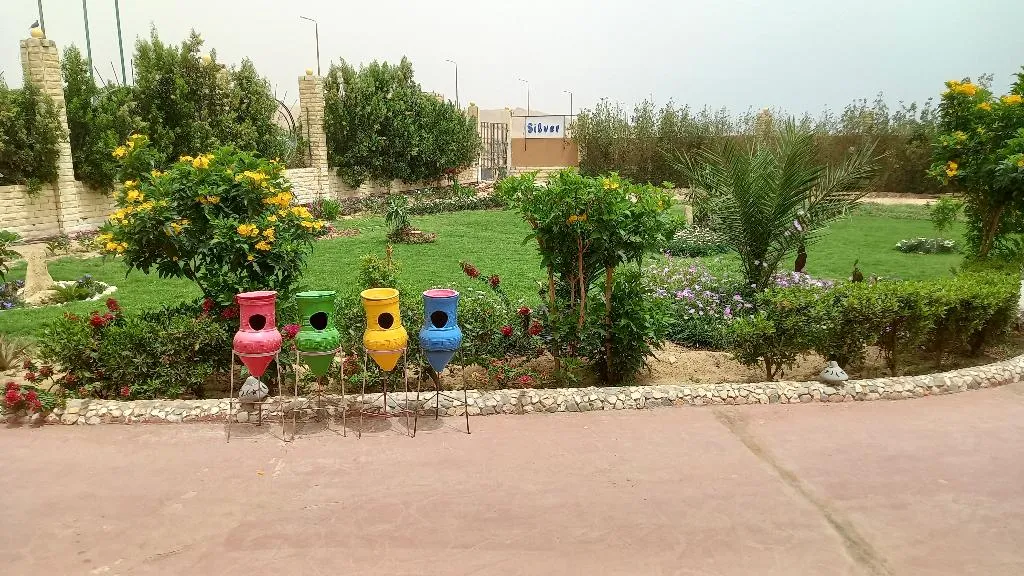 General view, Silver Beach Boutique Hotel, Red Sea Riviera