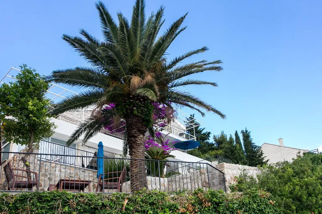 General view, Apartments Villa Mirjana, Dubrovnik