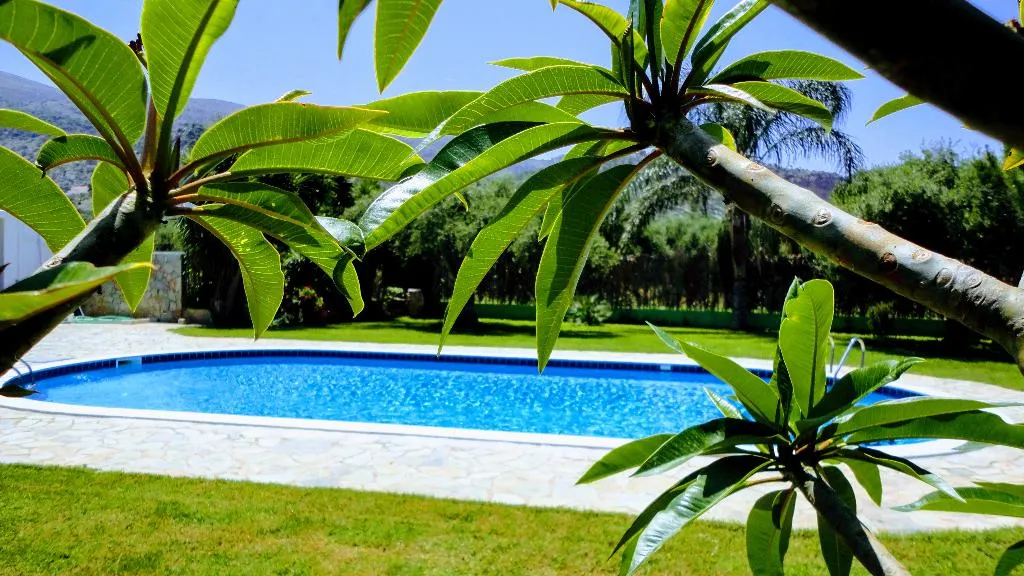 Pool, Ibiscus Apartments, Crete
