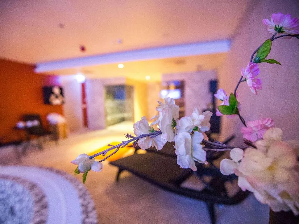 Sports and Entertainment, Mercure Riga Centre, Riga