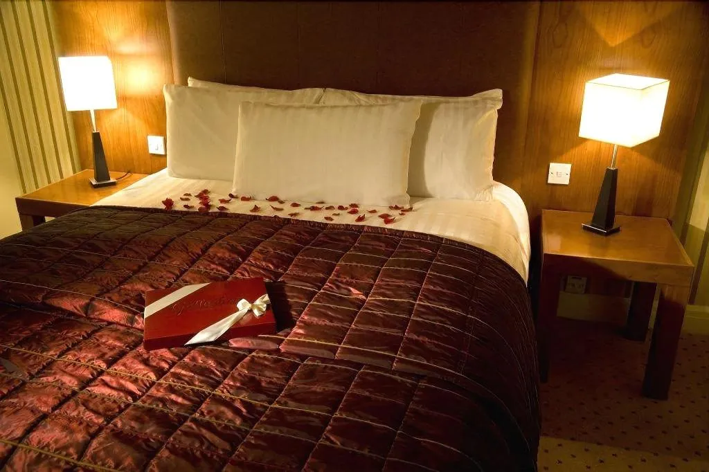 Room, Hamlet Court Hotel, Dublin