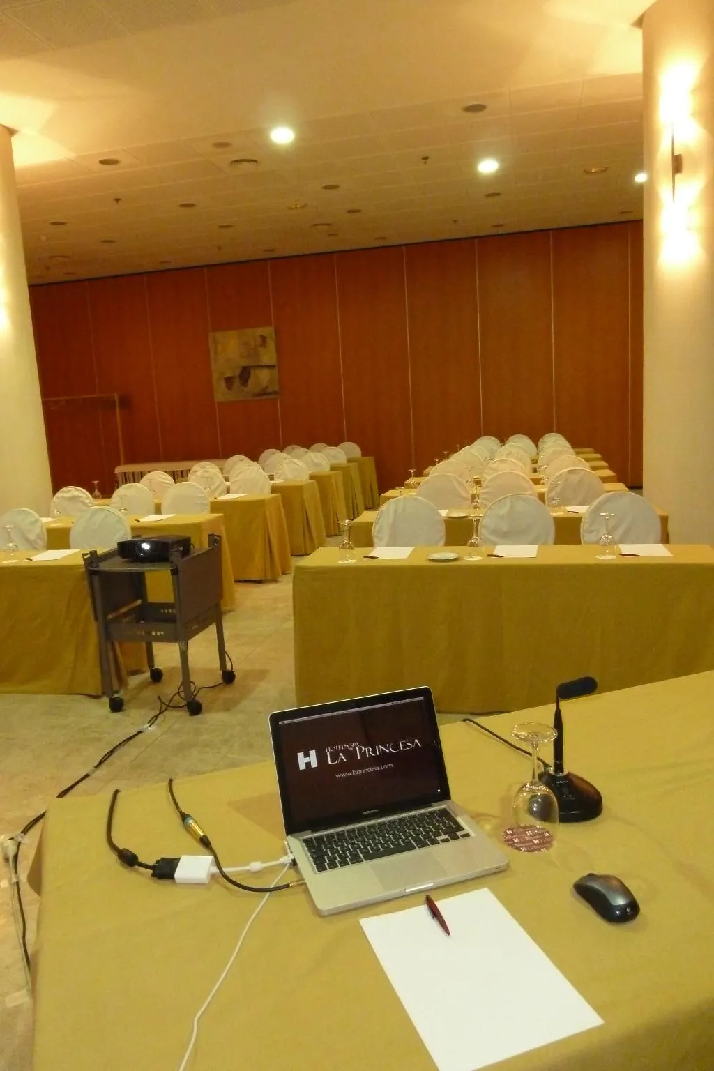 Conferences, Hotel La Princesa, Madrid