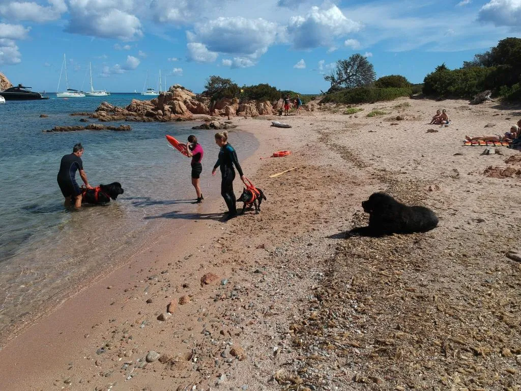 Beach, Residenza Capriccioli, Olbia