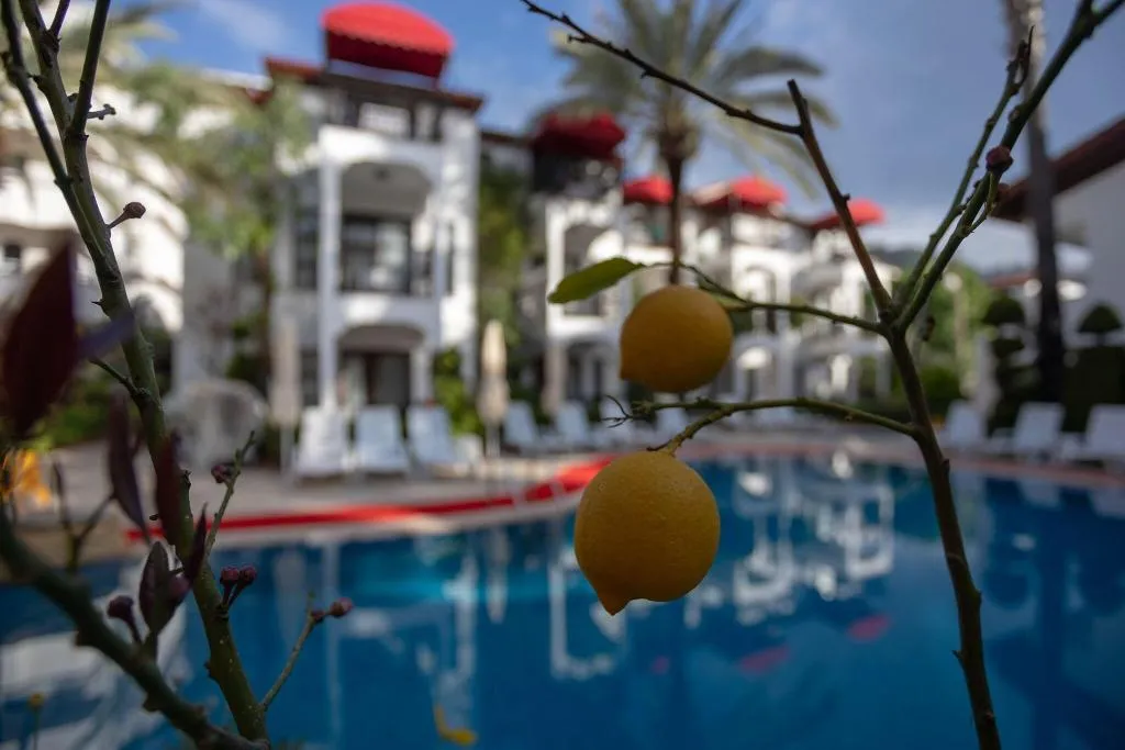Pool, Mitos Apartments, Dalaman