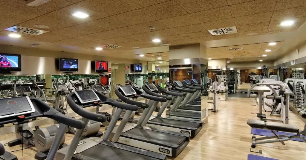 Sports and Entertainment, Melia Avenida America, Madrid