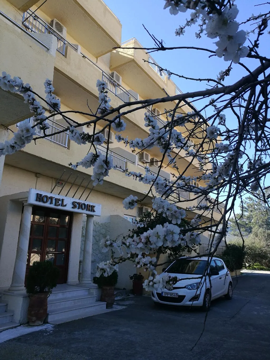 General view, Stork Hotel, Crete