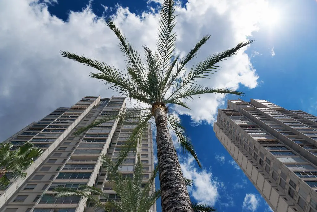 General view, Apartamentos Gemelos  20, Costa Blanca