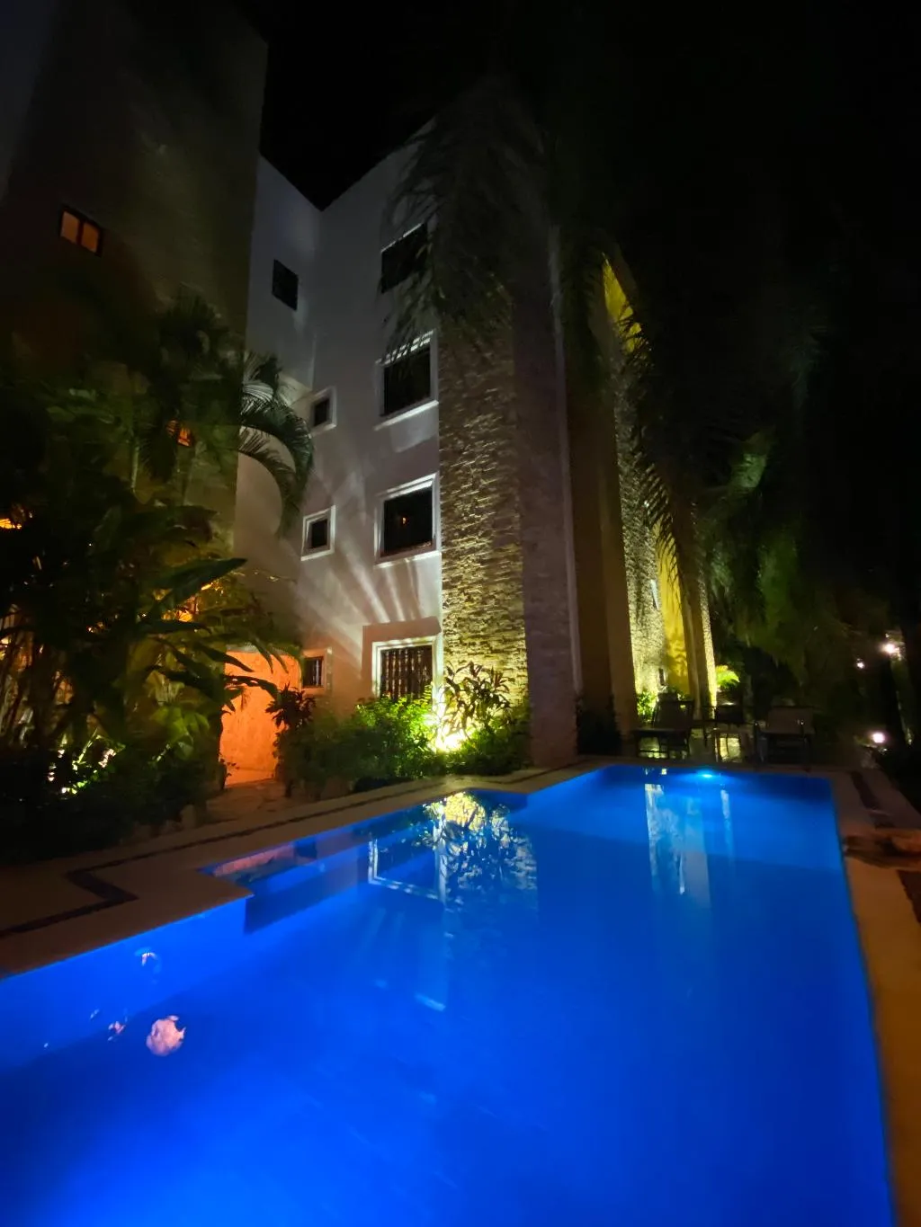Pool, Las Golondrinas, Playa Del Carmen