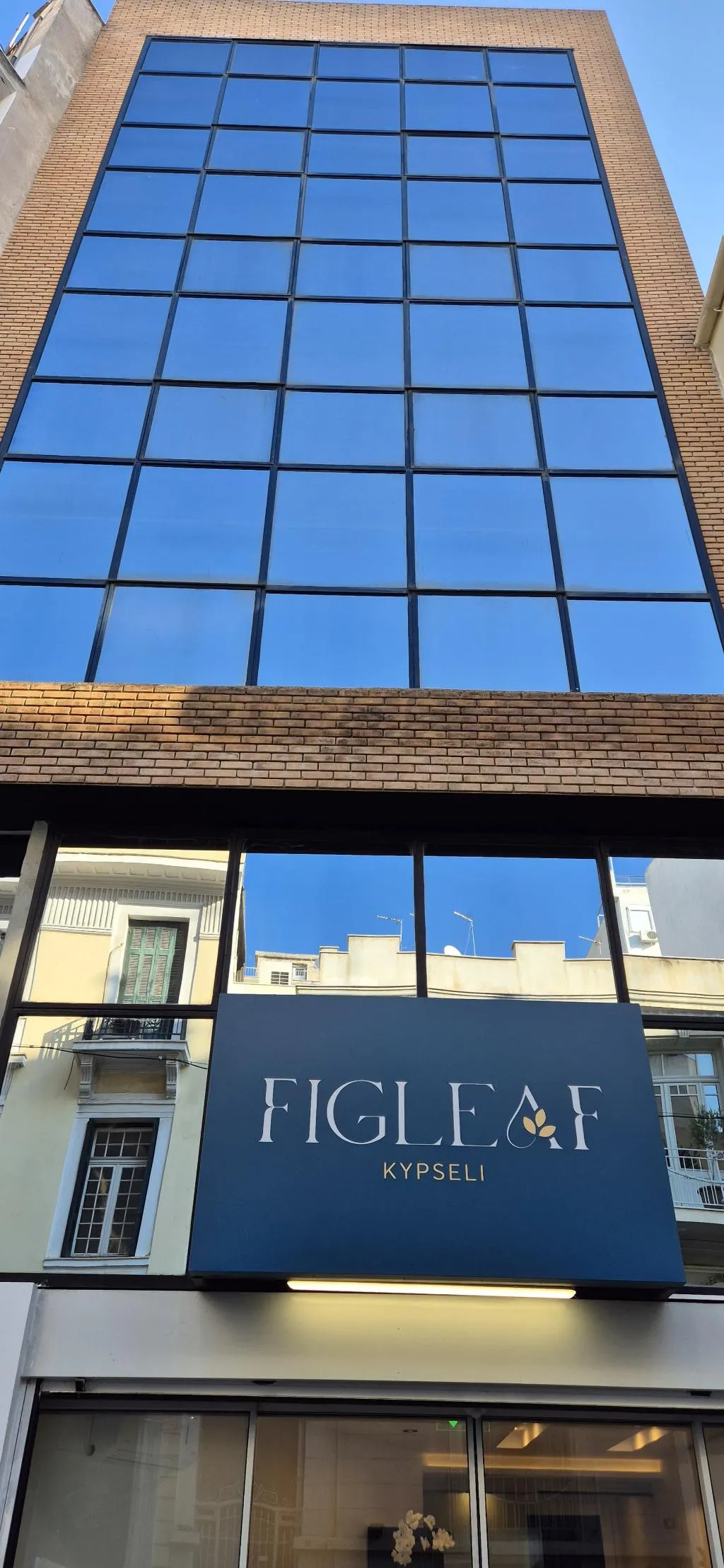 General view, Figleaf Kypseli, Athens
