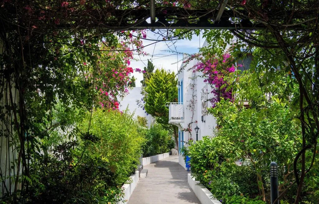 General view, Manuela Hotel, Bodrum