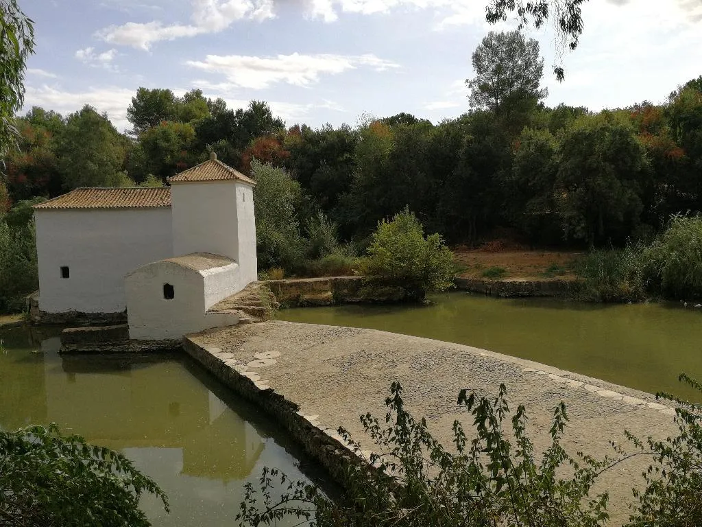 Sports and Entertainment, Legado Oromana, Andalucia