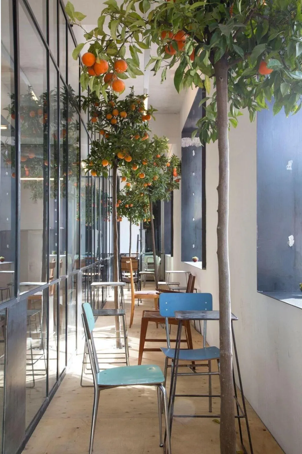 Terrace, Bed and Boarding - Hostel, Naples