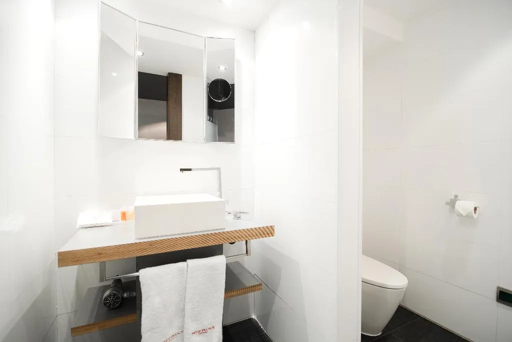 DOUBLE STANDARD Room, Petit Palace President Castellana, Madrid