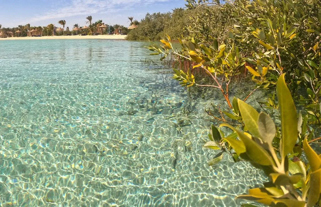 Beach, Mangrove Bay Resort, Red Sea Riviera