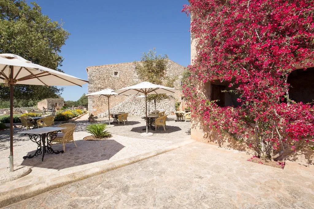 Terrace, Son Cosmet, Majorca