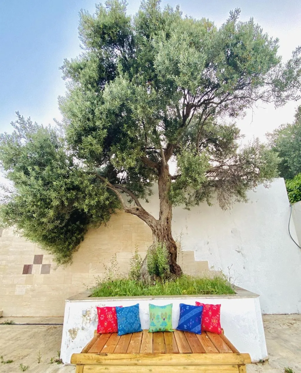 General view, Alacati Barbarossa Hotel, Izmir