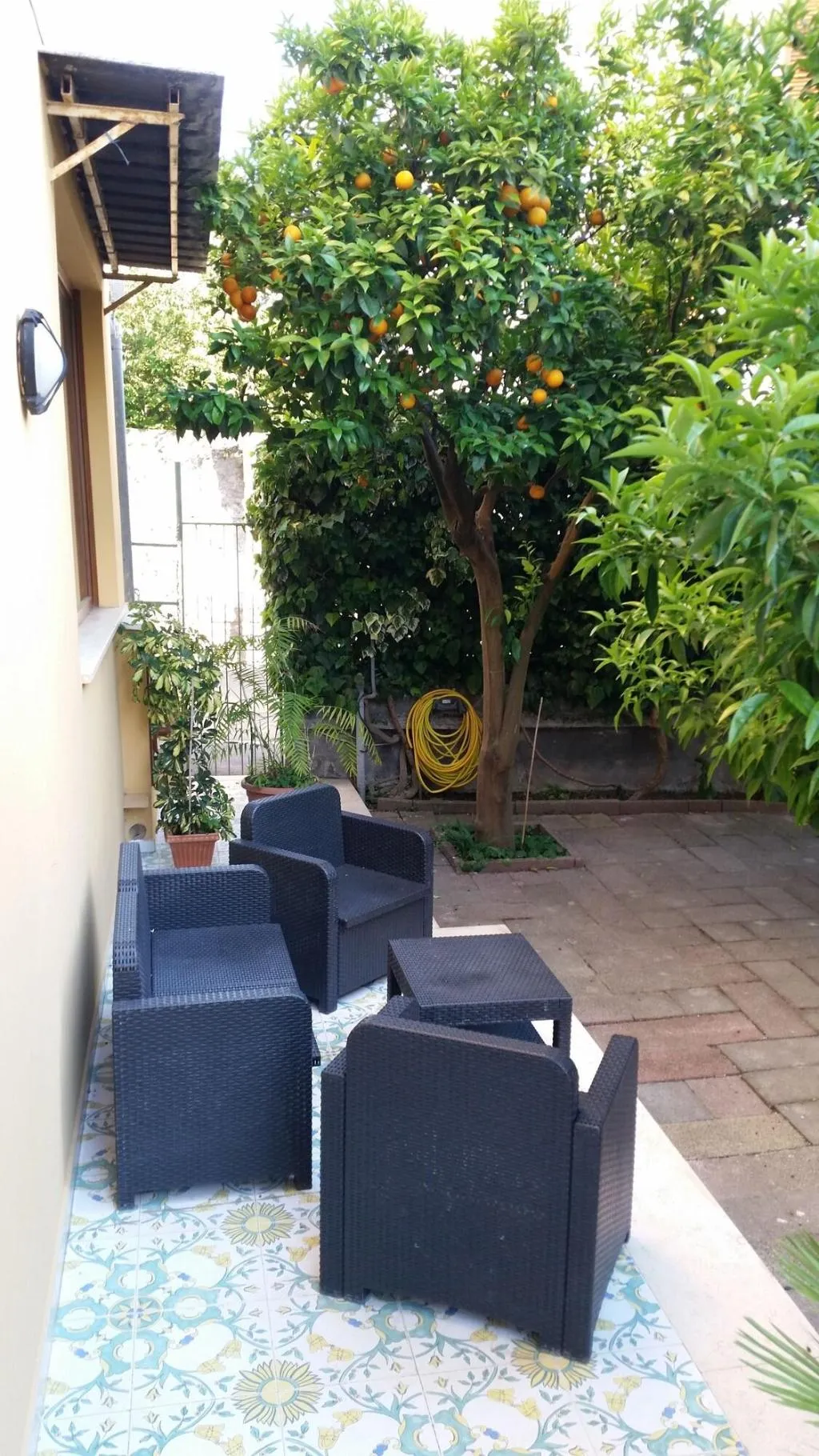 Terrace, Leone, Naples